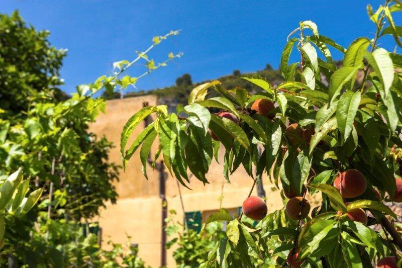 菲纳莱利古雷 Agriturismo La Selva酒店 外观 照片