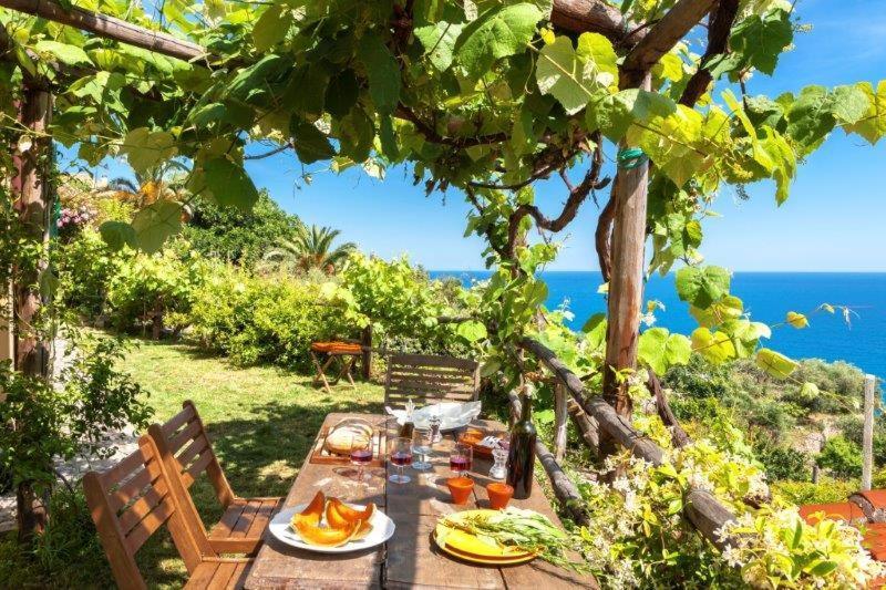 菲纳莱利古雷 Agriturismo La Selva酒店 外观 照片