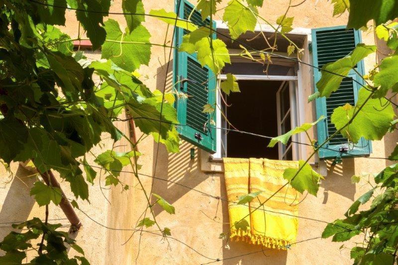 菲纳莱利古雷 Agriturismo La Selva酒店 外观 照片