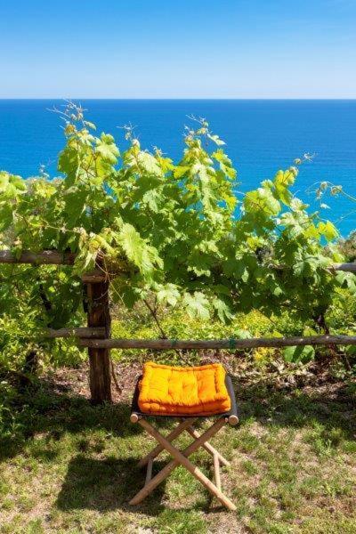 菲纳莱利古雷 Agriturismo La Selva酒店 外观 照片
