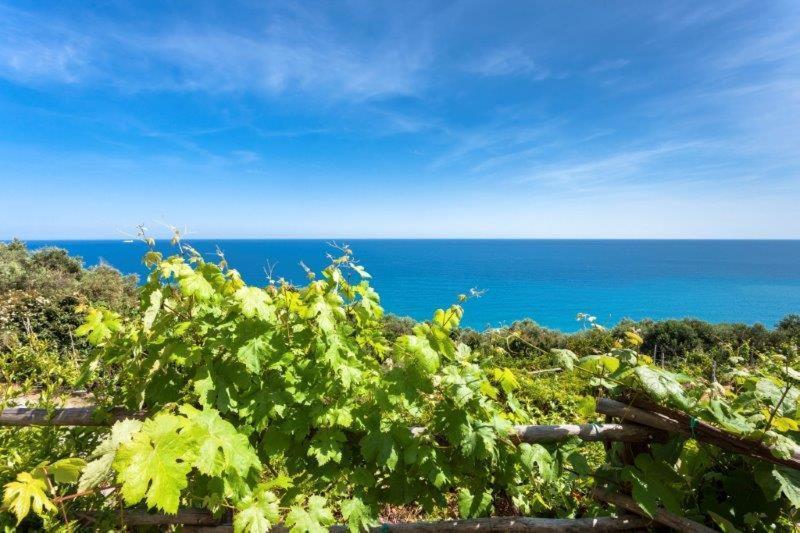 菲纳莱利古雷 Agriturismo La Selva酒店 外观 照片