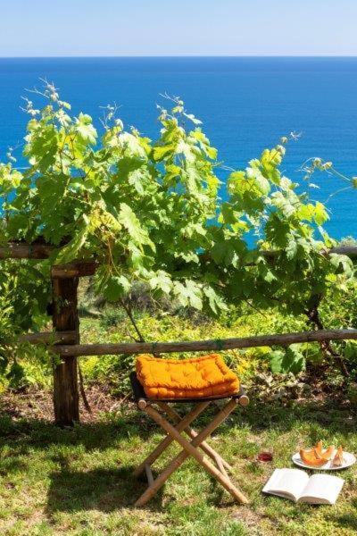 菲纳莱利古雷 Agriturismo La Selva酒店 外观 照片
