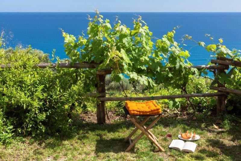 菲纳莱利古雷 Agriturismo La Selva酒店 外观 照片