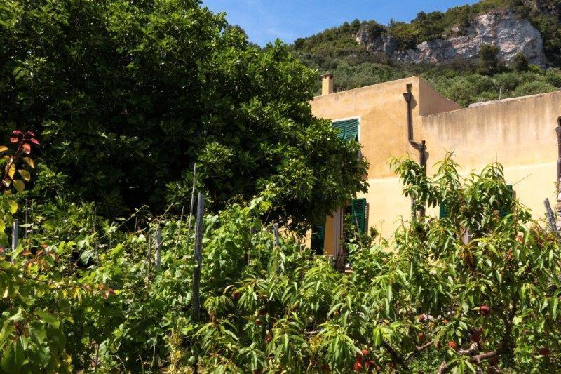 菲纳莱利古雷 Agriturismo La Selva酒店 外观 照片