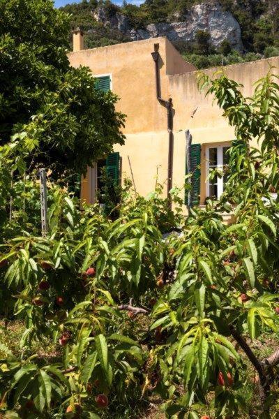 菲纳莱利古雷 Agriturismo La Selva酒店 外观 照片
